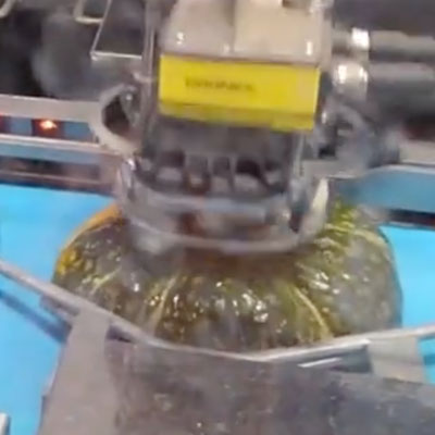 南瓜ヘタ取り装置