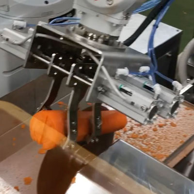 人参自動カット装置